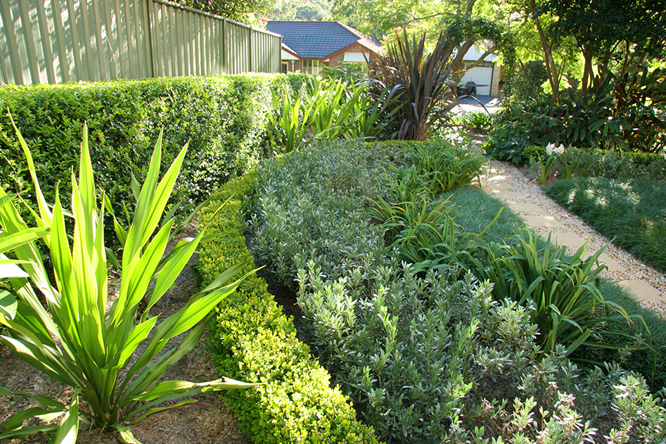 Garden And Horticulture Design The, Other Side Landscaping